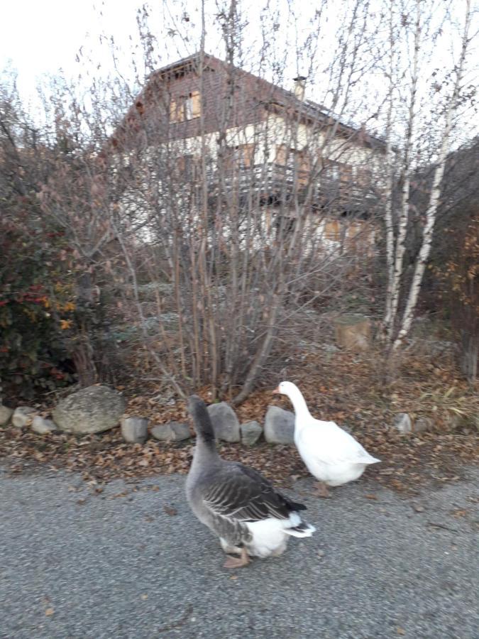 Petit Appartement En Montagne Saint-Julien-en-Champsaur Kültér fotó